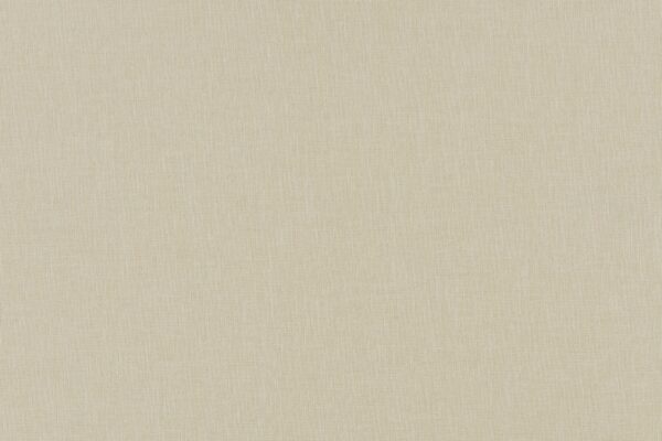 Ivory - 175