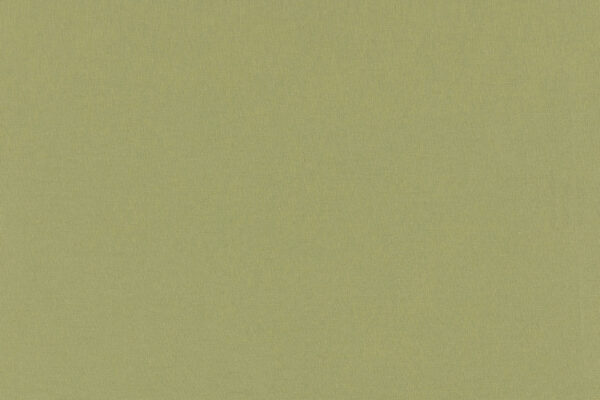 Pistachio - 153