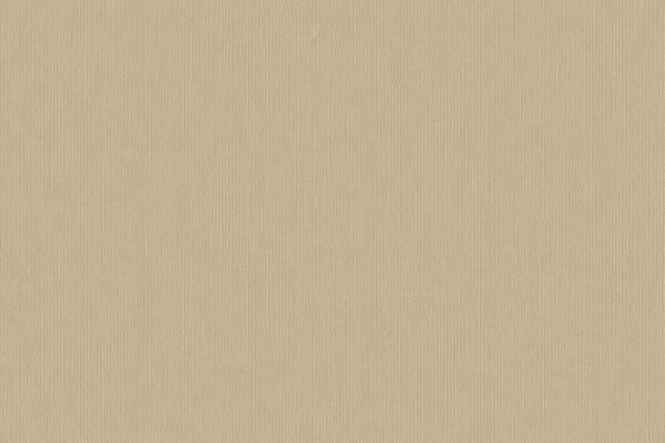 Fawn - 629