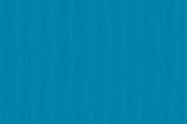 Kingfisher - 632