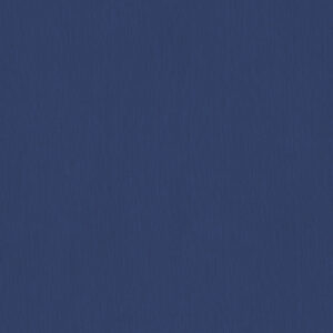 Blueberry - 624