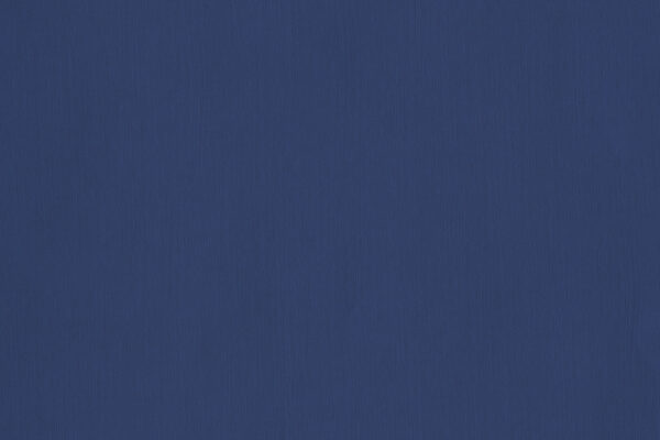 Blueberry - 624