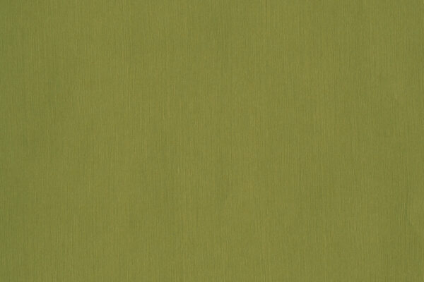 Olive - 633