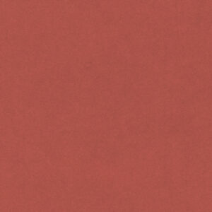 Burnt Orange - 674