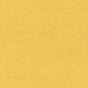 Sunshine - 678