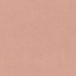 Salmon -  679I