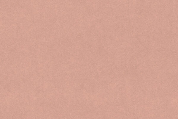 Salmon -  679I