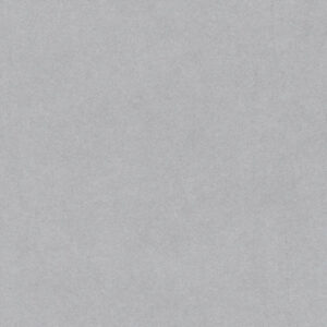Silver Grey - 679V