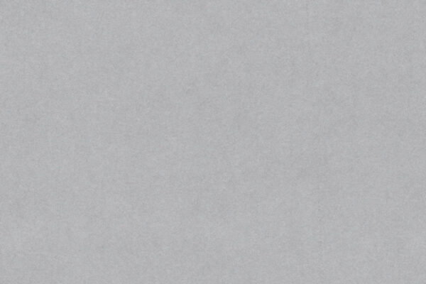 Silver Grey - 679V