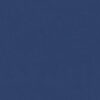 Blueberry - 679M