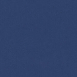 Blueberry - 679M
