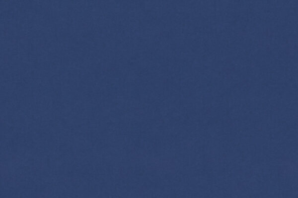 Blueberry - 679M