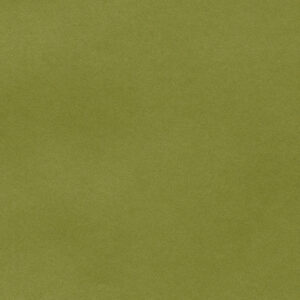 Olive - 679X