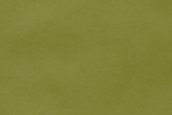 Olive - 679X