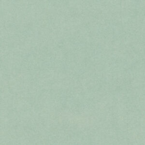 Pistachio - 679H