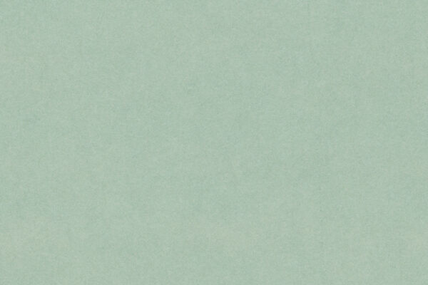 Pistachio - 679H