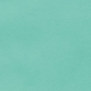 Mint - 679Y