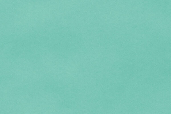 Mint - 679Y